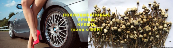 прущие крисы Заволжск