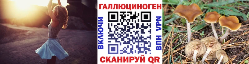 Псилоцибиновые грибы мицелий  как найти наркотики  гидра маркетплейс  Мытищи 